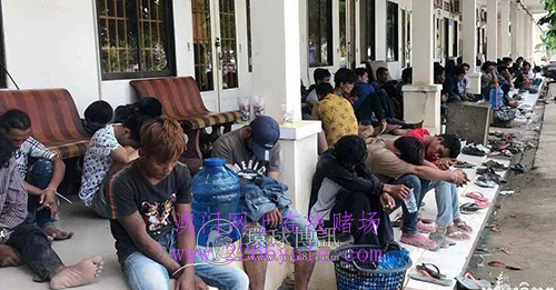 柬埔寨警方突袭波贝一家赌场逮捕涉毒人员155名